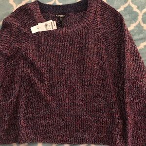 Express sweater size large